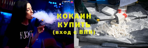 индика Армянск