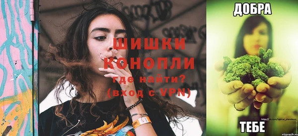 трава Арсеньев