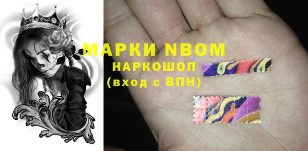 индика Армянск