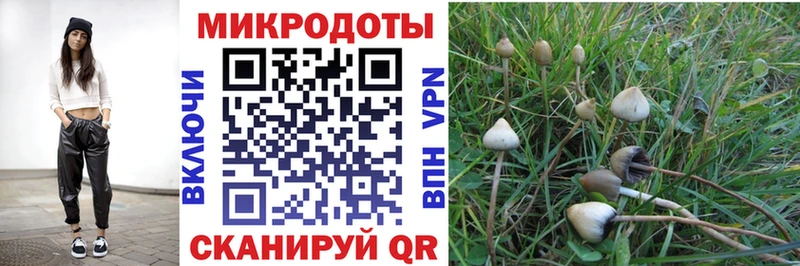 Псилоцибиновые грибы MAGIC MUSHROOMS  купить   маркетплейс какой сайт  Оханск 